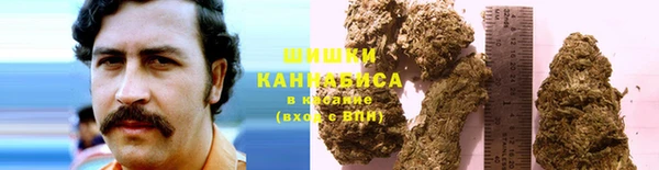 спайс Баксан