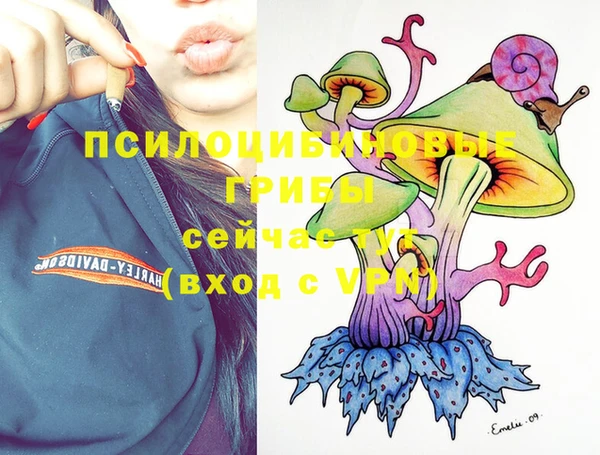 apvp Белоозёрский