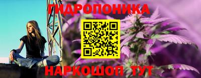 apvp Ирбит