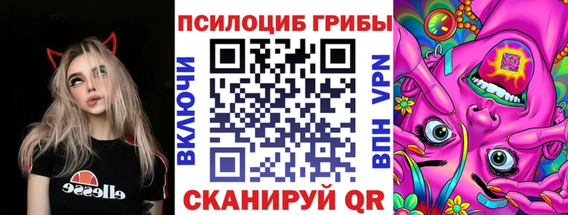 что такое   shop наркотические препараты  Псилоцибиновые грибы мухоморы  Кунгур 
