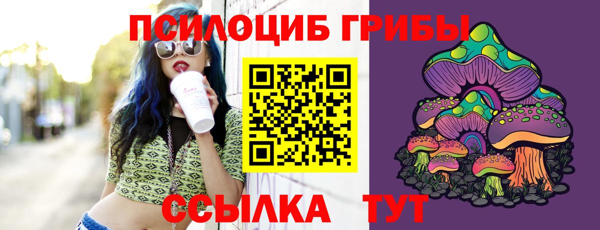 Псилоцибиновые грибы Psilocybe Кунгур