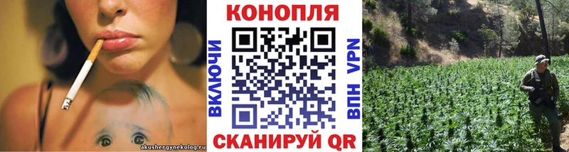 OMG ссылка  Кунгур  Каннабис индика 